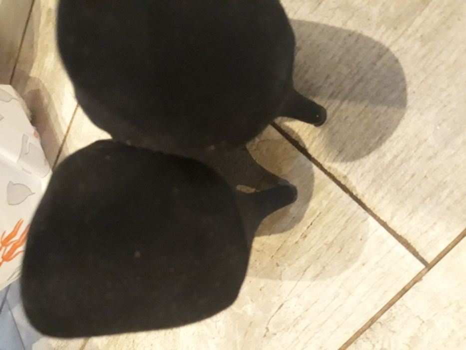 Szpilki zamszowe graceland 38