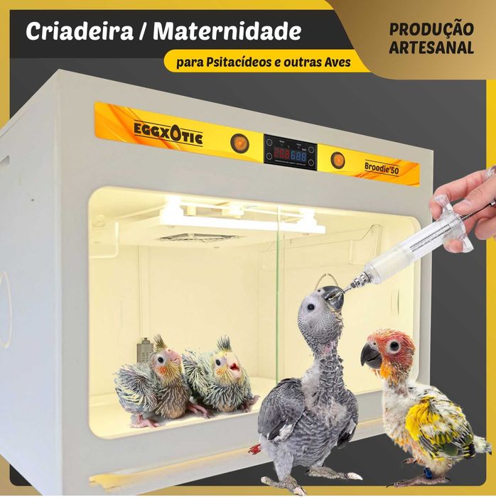 Criadeira de Aves criação à mão, maternidade c/ LED e humidade (Novas)