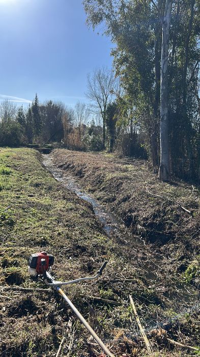 Manutenção de espaços verdes, jardinagem e limpeza de terrenos