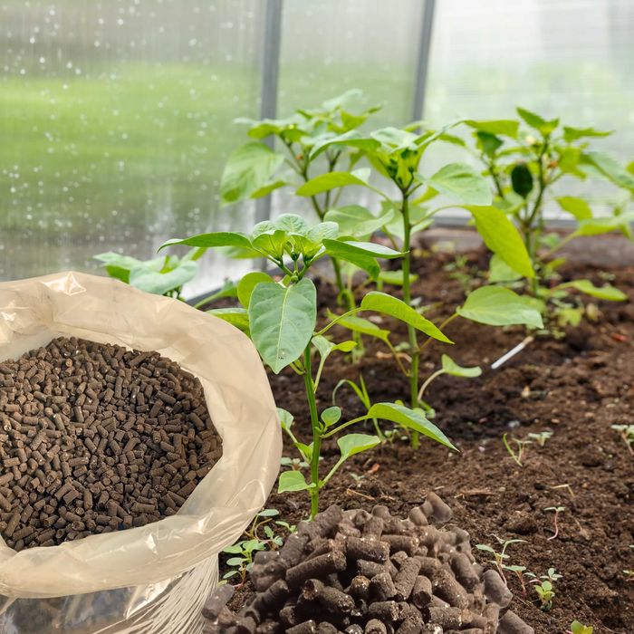 Nawóz naturalny obornik granulowany workowany, warzywa trawa krzewy