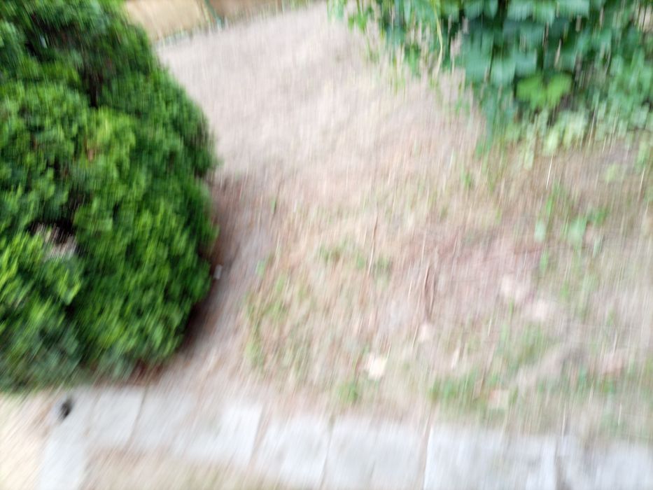 Koszenie karczowanie 1 zł m2