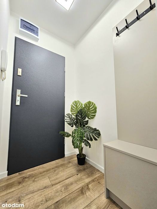 3 pokoje, blisko centrum, po remoncie, bezpośrednio