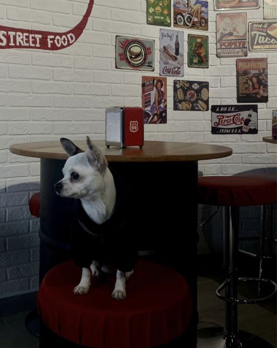 Шукаю дівчинку для в‘язки