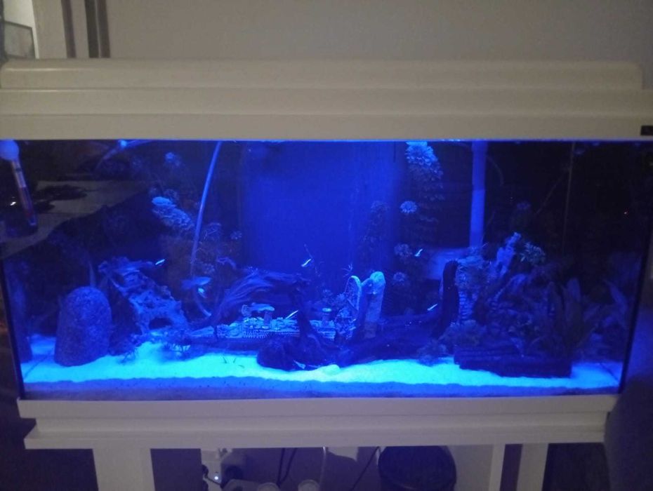 Aquario completo conforme foto - 80 litros