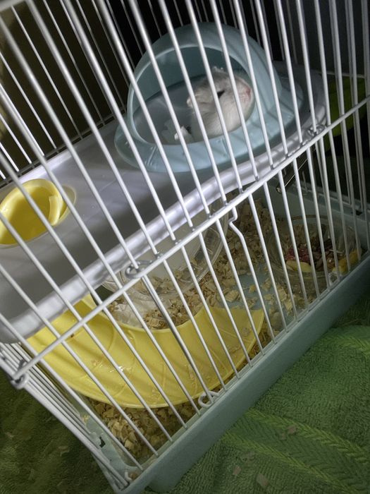 Клетка для хомяка