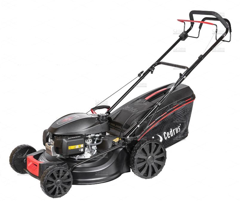 Kosiarka spalinowa Cedrus KS53H silnik Honda - Baras