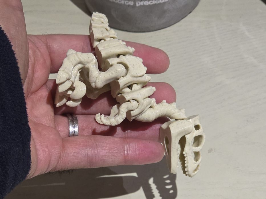 Esqueleto Dinossauro Velociraptor Articulado