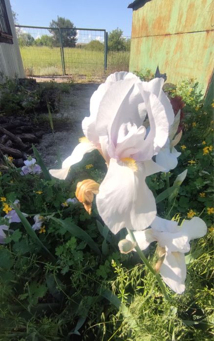 Продам земельный участок с адресом с/о Лесная поляна