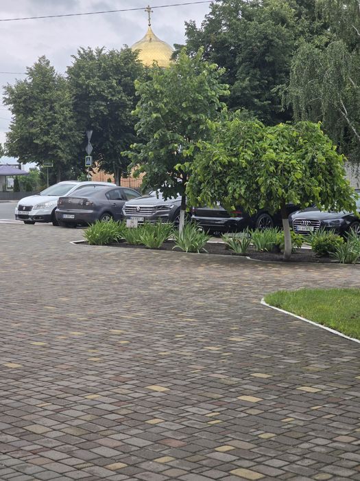 Оренда приміщення Щасливе!!!