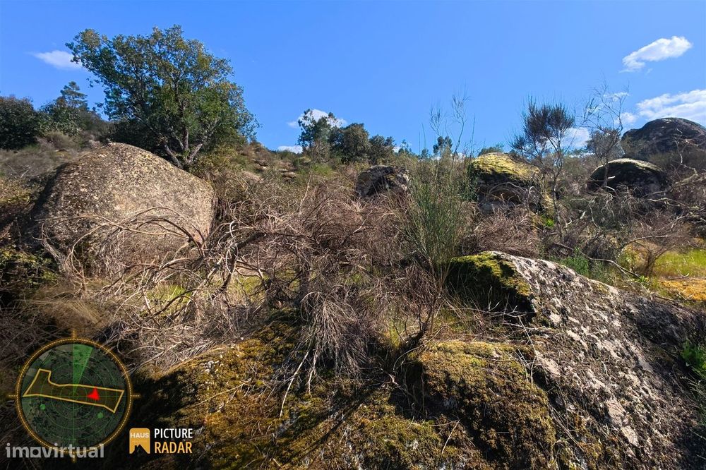 Terreno 1.1ha com Ruína e Vale Fértil | Cafede, Castelo Branco