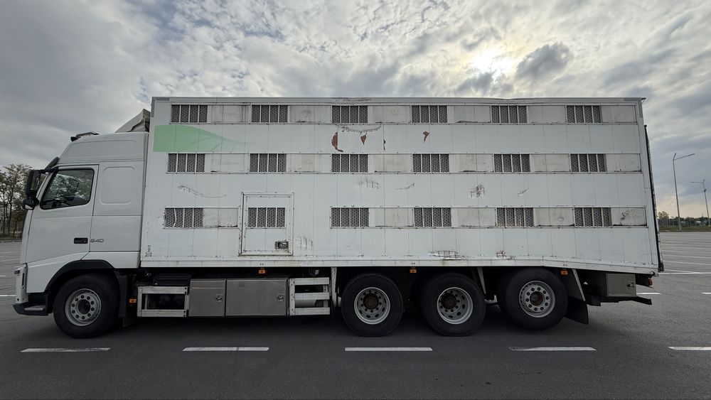 Volvo FH 540 скотовоз