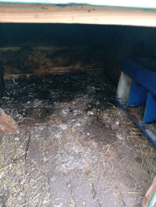 Продам клітки на кролі