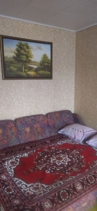 1 квартира в центрі подобово