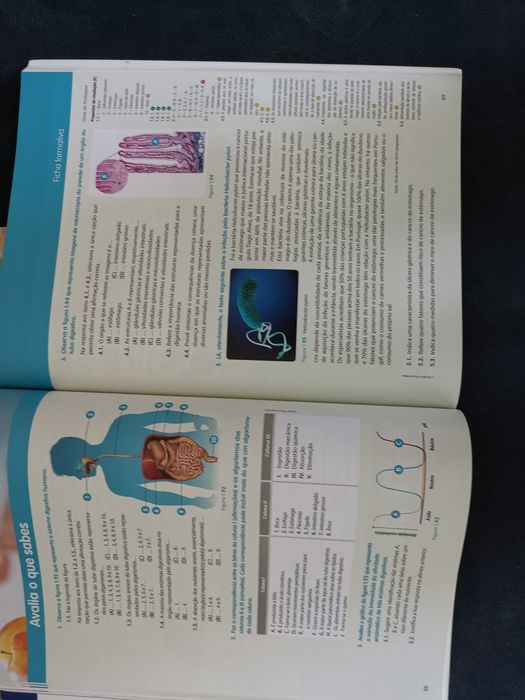 Manual  + guia suporte básico de vida - 9° ano ciências