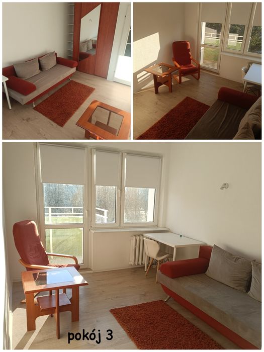 Pokój jednoosobowy, Winogrady, os. Przyjaźni