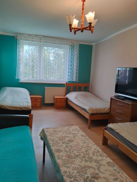 Pokoje oraz samodzielne mieszkanie