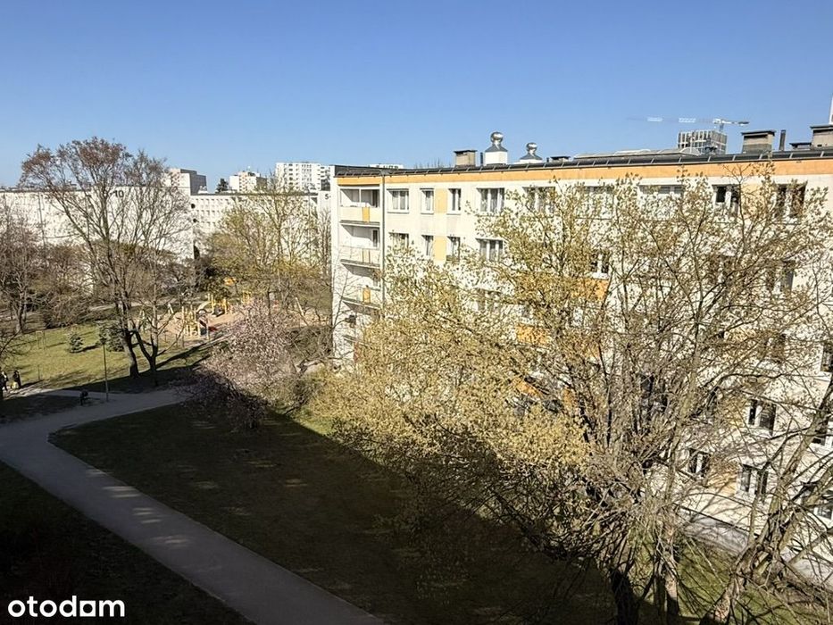 2 pokoje, przemyślany układ, loggia, os. Piastowskie