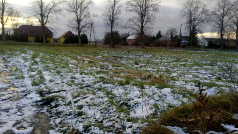 Sprzedam działkę w m. Sarbiewo / Zwierzyn - WYDANE WARUNKI ZABUDOWY