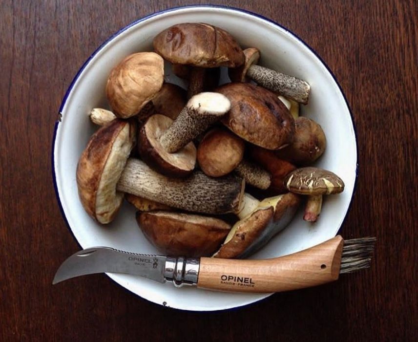 НОЖ грибной OPINEL 08 Франция грибний складний ніж кисточка 001252