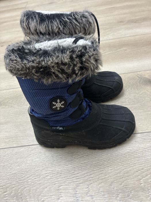 Sniegiwce Wojtylko 31