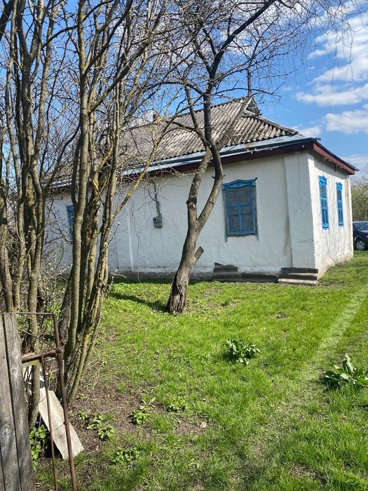 Будинок з великою ділянкою в с. Кононівка
