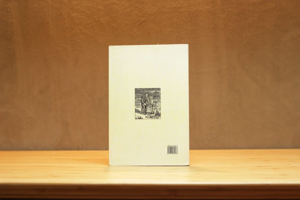 AS MINAS DE SALOMÃO (livro em português)