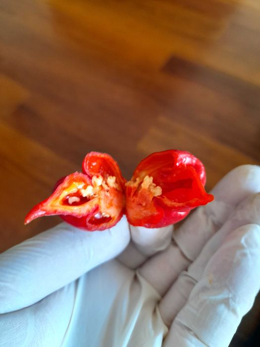 SÓ PARA MALUCOS - Molho picante