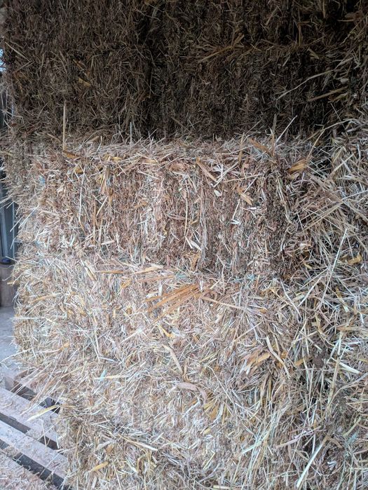 Fardos de palha 2025