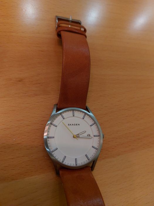 Skagen   SKW 6282