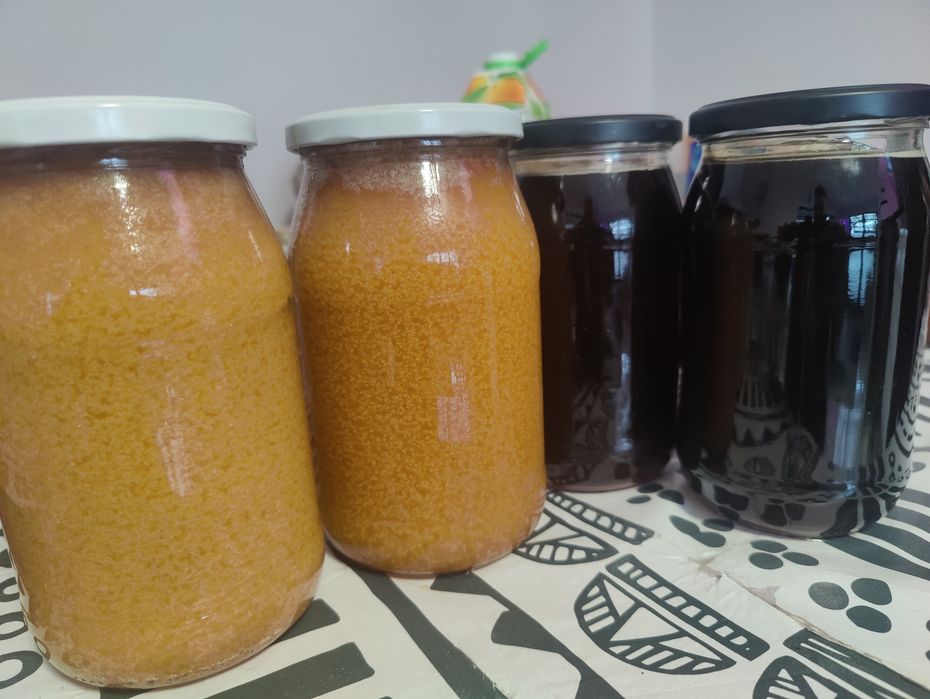 Miód z własnej pasieki spadziowy kwiatowy