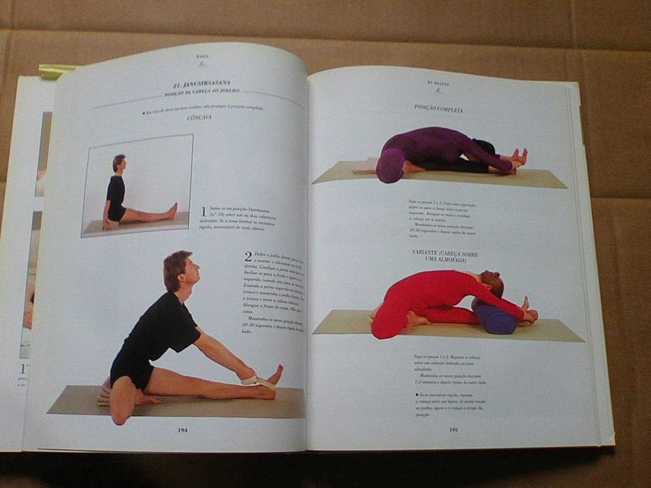 Manual completo de massagem, aromaterapia e yoga