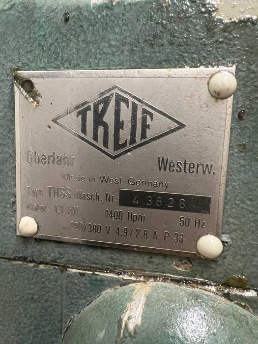 kostkowinica treif