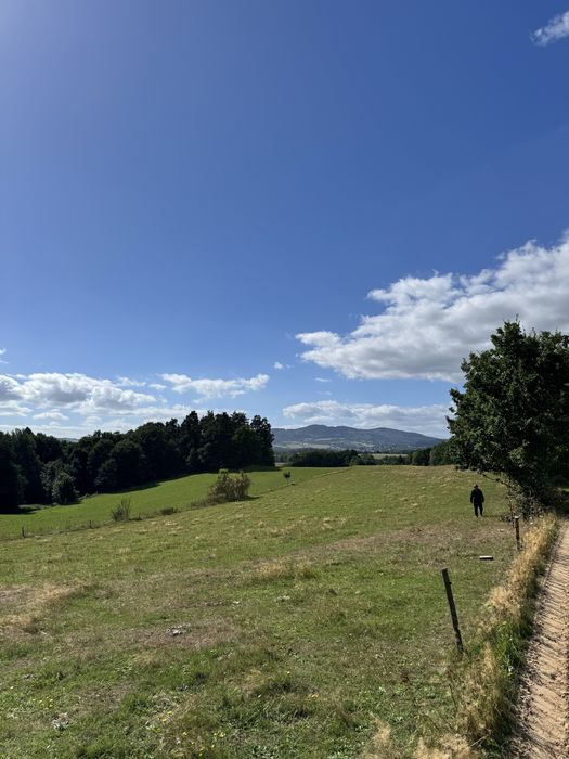 Ziemia grunty rolne rolno-budowlane 8.5ha - Widok 4