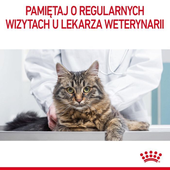 Royal Canin Urinary Care 2kg Karma Dla Kotów Z Problemami Moczowodowymi Dietetyczna Opieka Zdrowotna