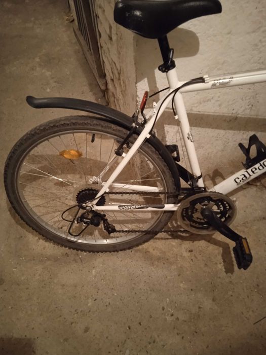 Rower męski sportowy