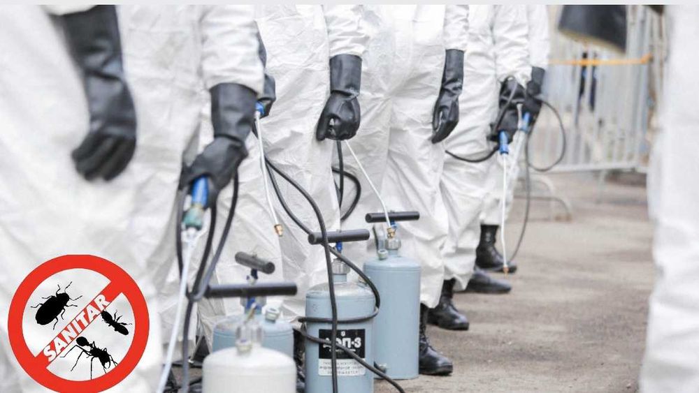 Уничтожение, травля тараканов, клопов, дезинфекция Днепр