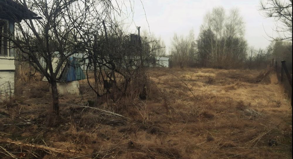 Продається будинок в с. Літки.