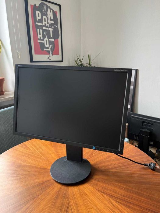 Monitor NEC MultiSync EA244WMi