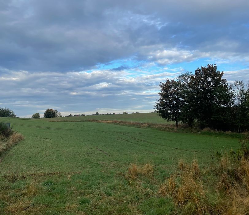 Działka pod budowę - ponad 9000 m² (0,9452 ha) / 4min od Redzikowa - Widok 2
