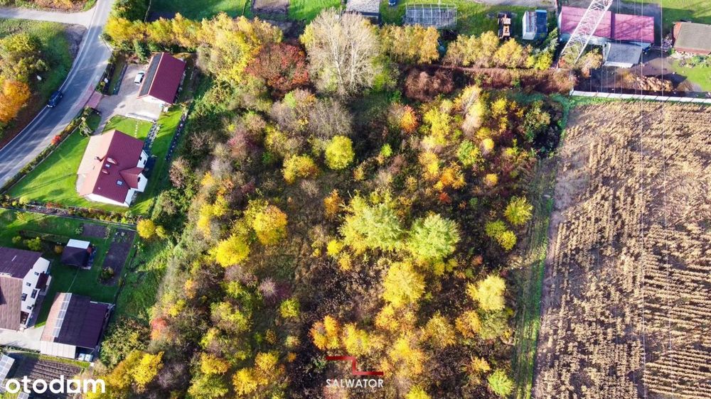 Działka 24,5 ar Żbik Krzeszowice