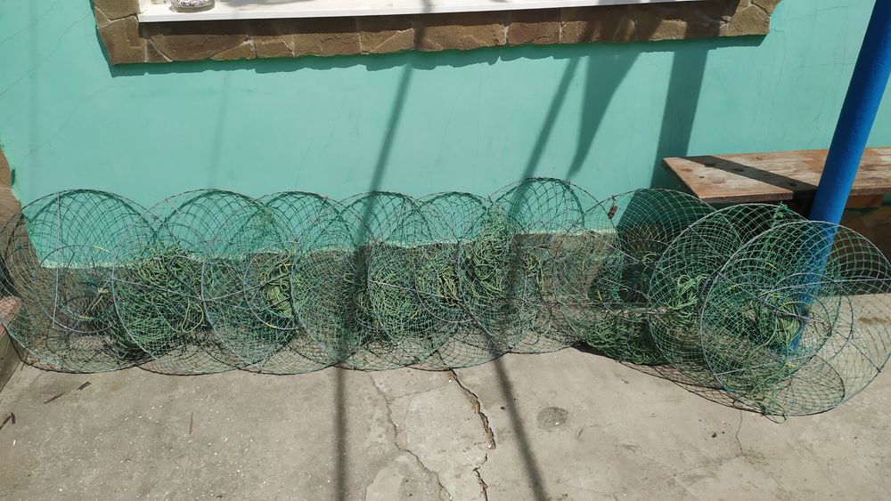 Продам рачницы новые