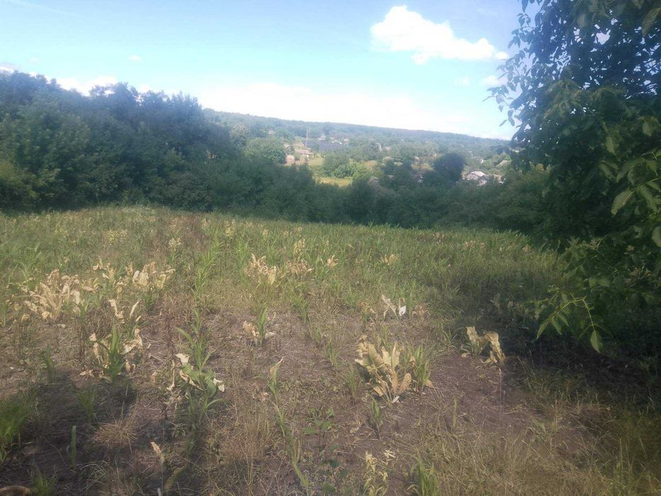 продам будинок маліївці