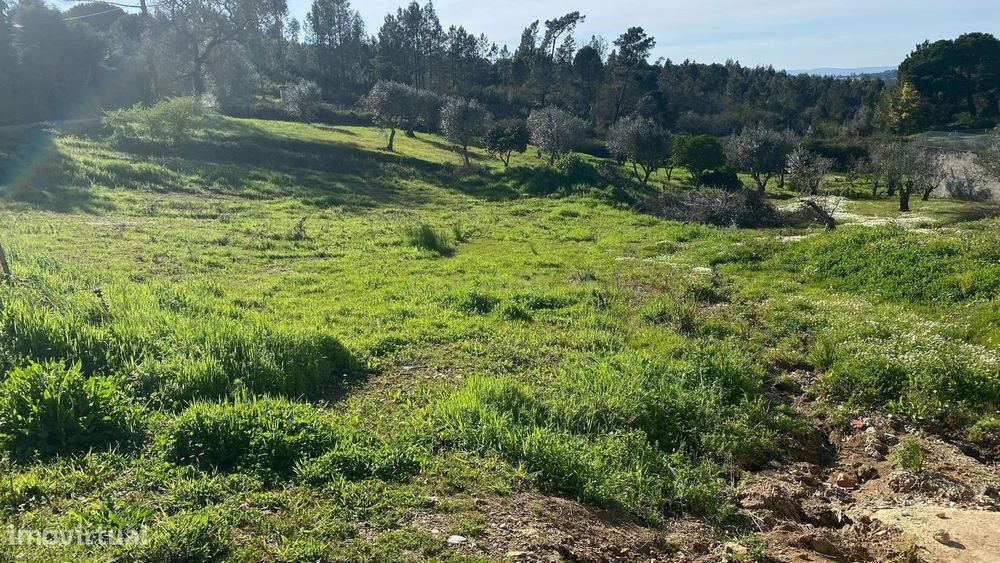 Terreno para construção – a 15 minutos de Tomar e do Entroncamento (Li