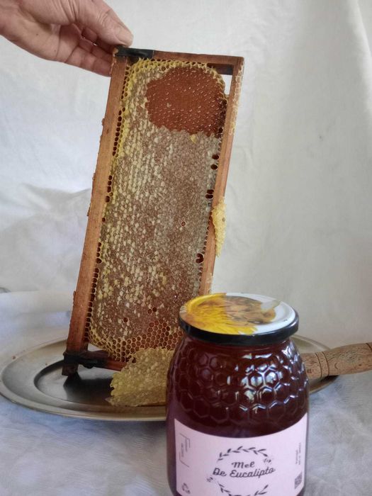 Mel Puro do Apicultor