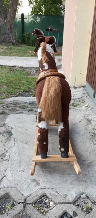 konik na biegunach