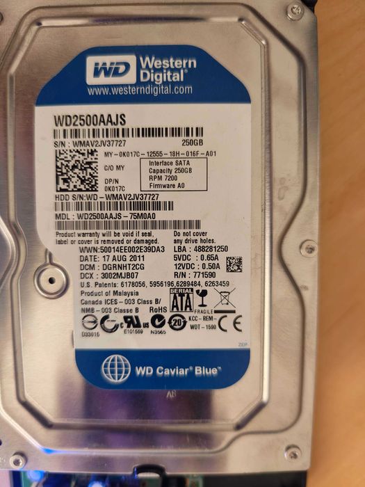 Dysk WD CAVIAR BLUE 250GB 7.2k 8MB 3.5'' WD2500AAJS