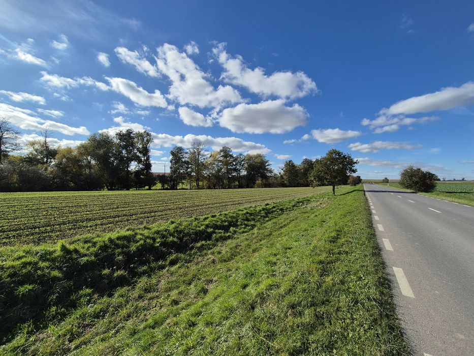 Działki budowlane + ogród - Widok 5