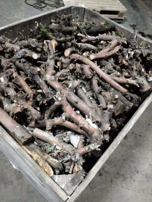 Drewno gałęziowe na opał | Jabłoń