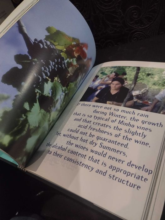 Colors of Vinho Verde - Manuel Carvalho / João Menéres