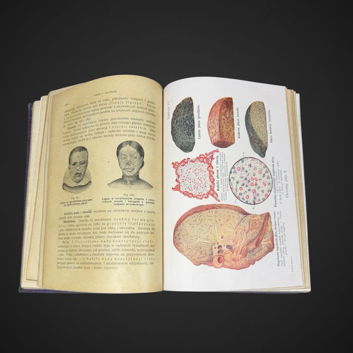 Antyk Lekarka Domowa Dr med. Janina Springer  przedwojenna encyklopedia B61/042501